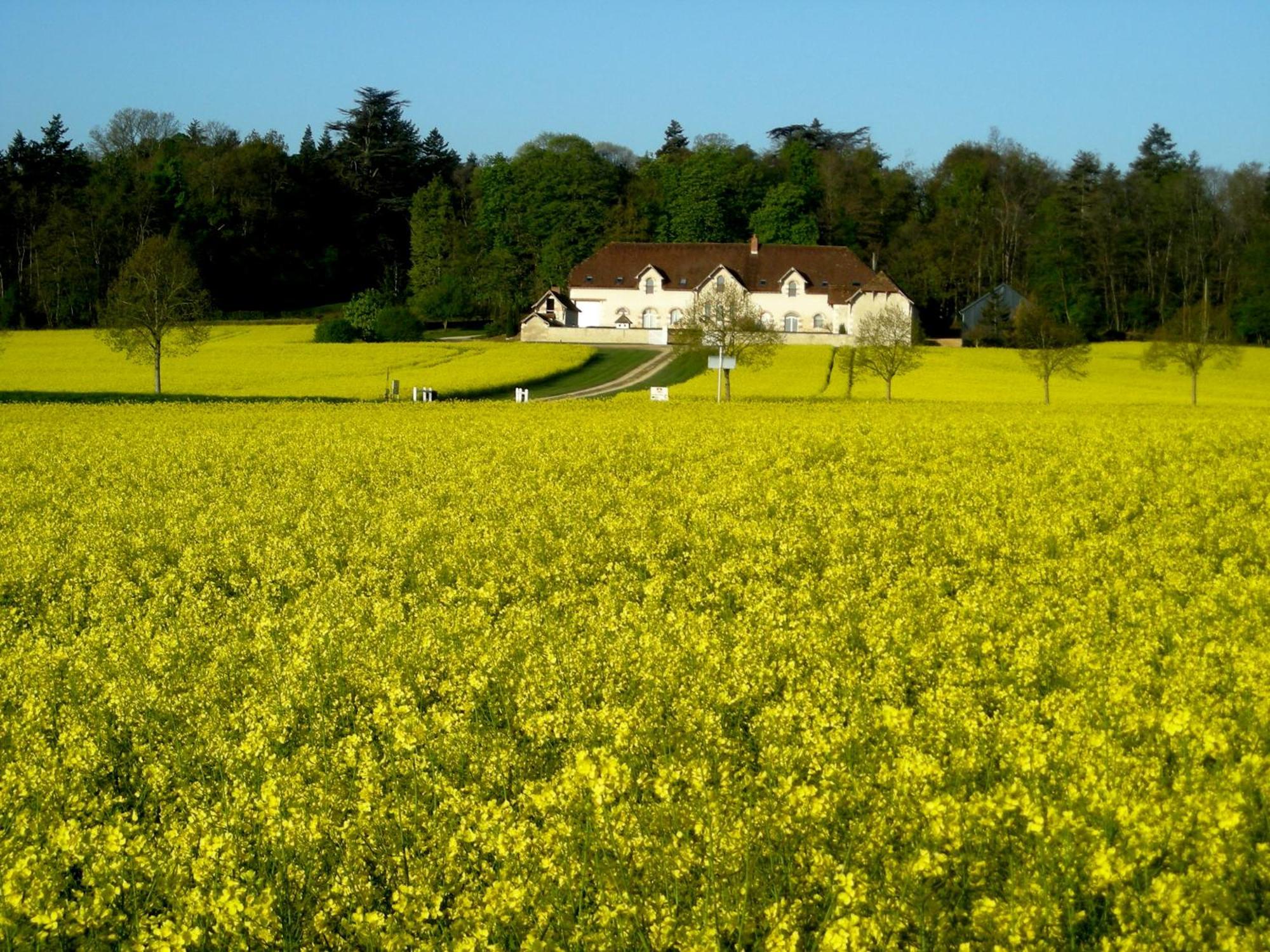 Domaine De La Maison Neuve Saint-Jean-Saint-Germain Экстерьер фото