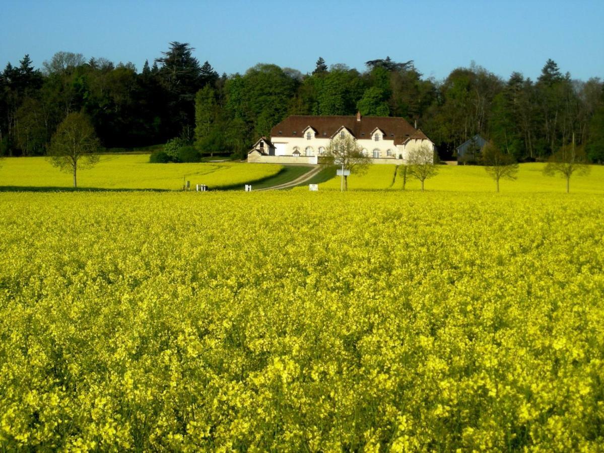 Domaine De La Maison Neuve Saint-Jean-Saint-Germain Экстерьер фото