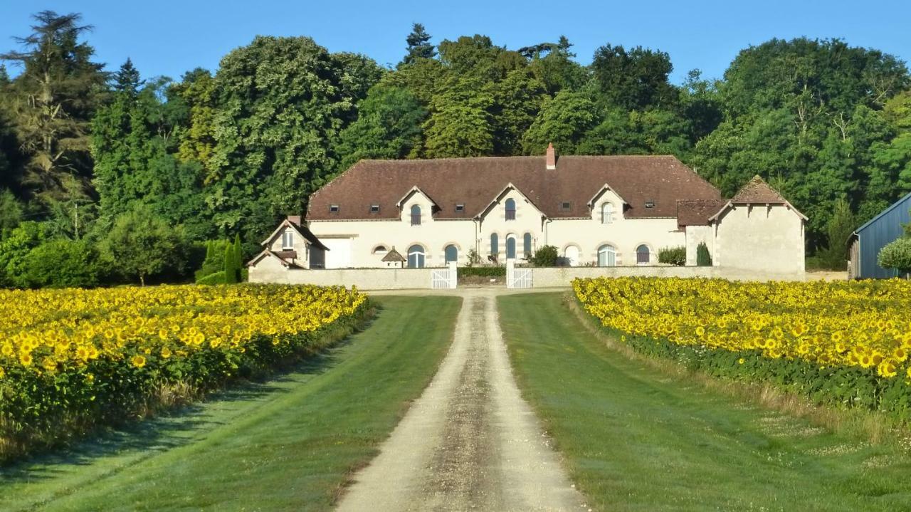 Domaine De La Maison Neuve Saint-Jean-Saint-Germain Экстерьер фото
